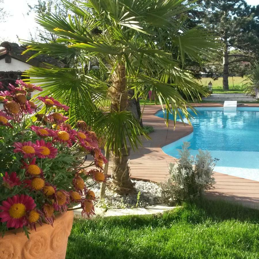 Le Clos De Saint Amour Montauban Exterior foto